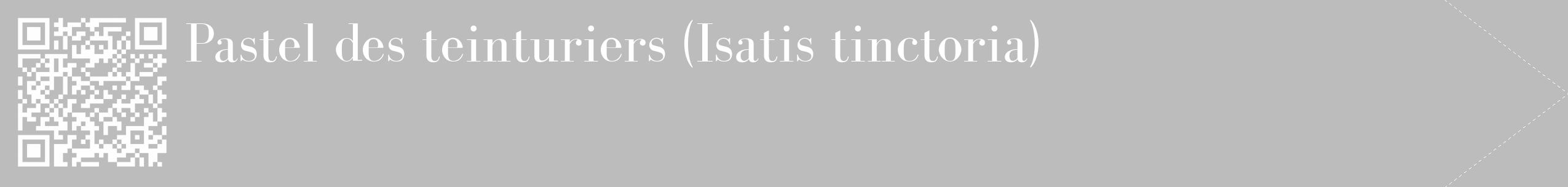 Étiquette de : Isatis tinctoria - format c - style blanche1_simple_simplebod avec qrcode et comestibilité