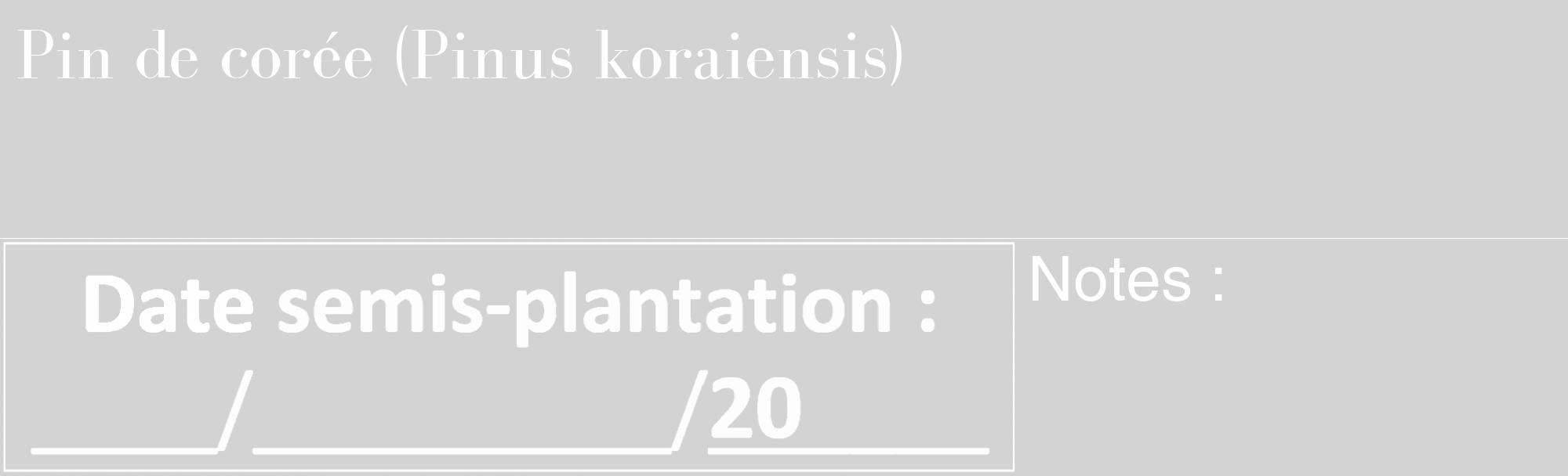 Étiquette de : Pinus koraiensis - format c - style blanche56_basique_basiquebod avec comestibilité