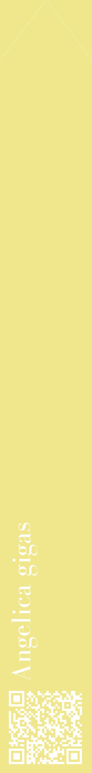 Étiquette de : Angelica gigas - format c - style blanche20_simplebod avec qrcode et comestibilité