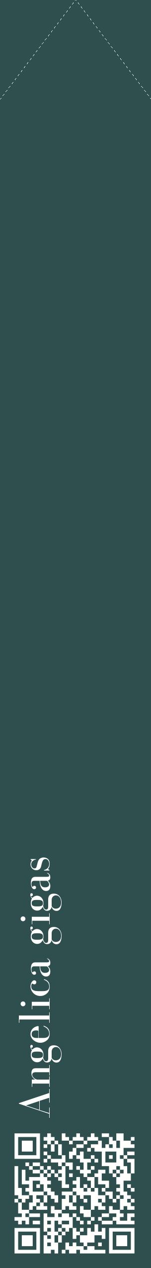 Étiquette de : Angelica gigas - format c - style blanche58_simplebod avec qrcode et comestibilité