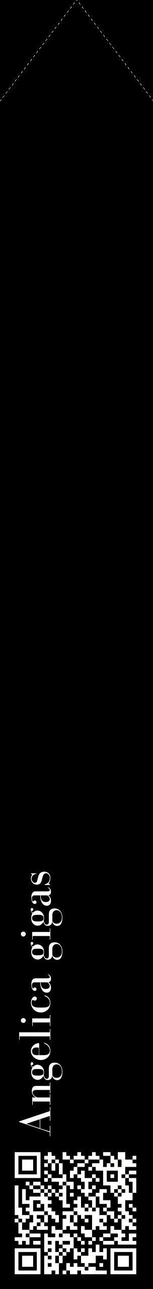 Étiquette de : Angelica gigas - format c - style blanche59_simplebod avec qrcode et comestibilité