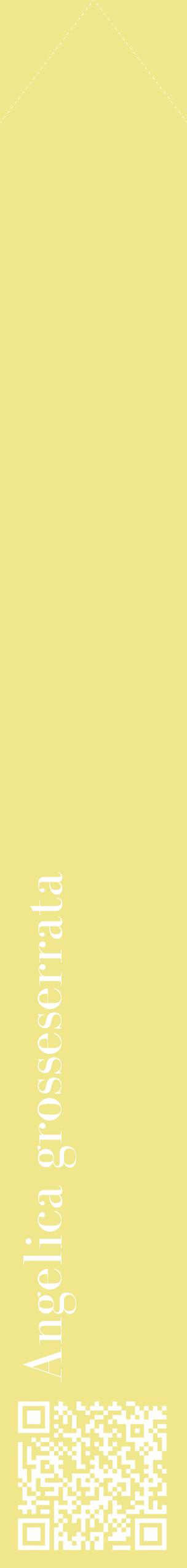 Étiquette de : Angelica grosseserrata - format c - style blanche20_simplebod avec qrcode et comestibilité