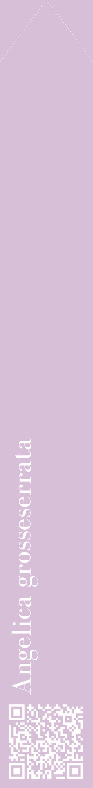 Étiquette de : Angelica grosseserrata - format c - style blanche54_simplebod avec qrcode et comestibilité