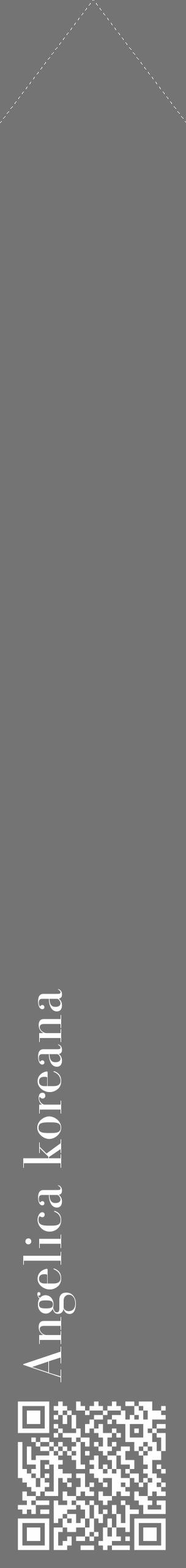Étiquette de : Angelica koreana - format c - style blanche26_simple_simplebod avec qrcode et comestibilité - position verticale