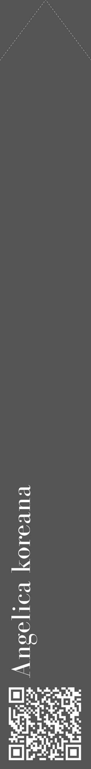 Étiquette de : Angelica koreana - format c - style blanche36_simple_simplebod avec qrcode et comestibilité - position verticale