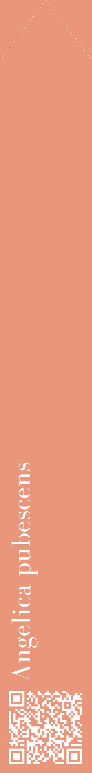 Étiquette de : Angelica pubescens - format c - style blanche37_simplebod avec qrcode et comestibilité