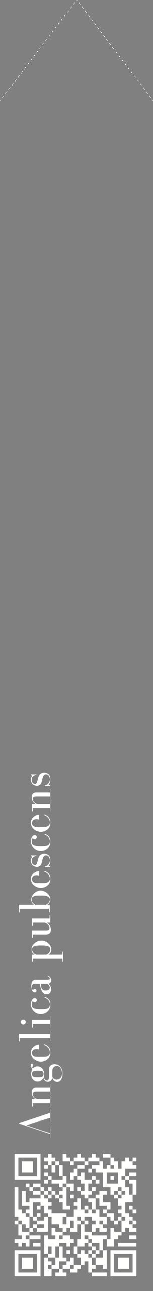 Étiquette de : Angelica pubescens - format c - style blanche57_simplebod avec qrcode et comestibilité