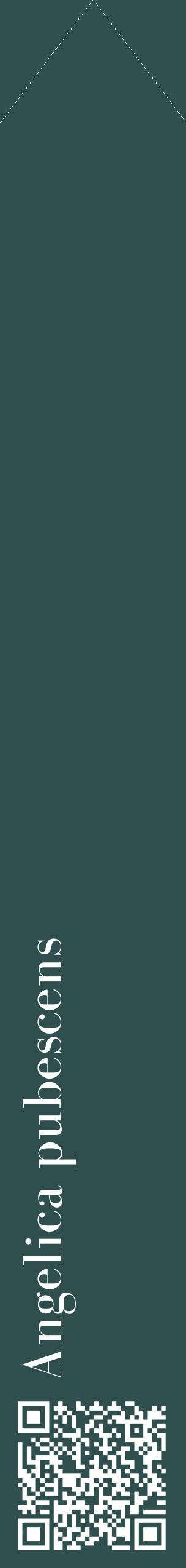 Étiquette de : Angelica pubescens - format c - style blanche58_simplebod avec qrcode et comestibilité