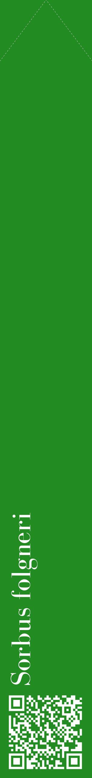 Étiquette de : Sorbus folgneri - format c - style blanche10_simplebod avec qrcode et comestibilité