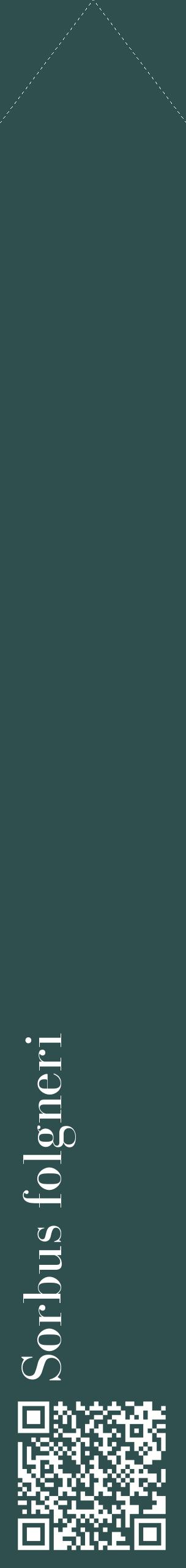 Étiquette de : Sorbus folgneri - format c - style blanche58_simplebod avec qrcode et comestibilité