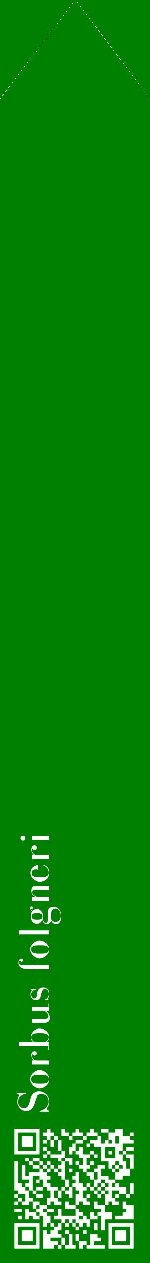 Étiquette de : Sorbus folgneri - format c - style blanche9_simplebod avec qrcode et comestibilité