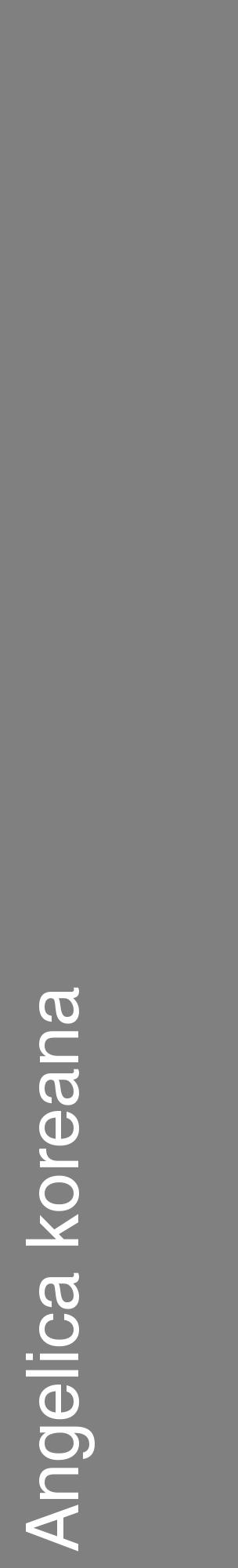 Étiquette de : Angelica koreana - format c - style blanche57_basiquehel avec comestibilité