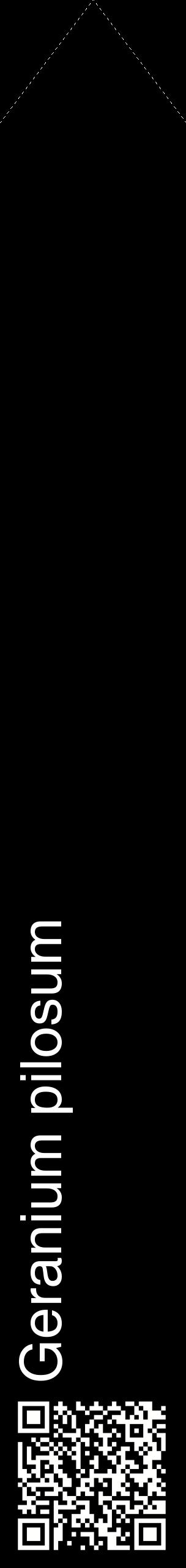 Étiquette de : Geranium pilosum - format c - style blanche59_simplehel avec qrcode et comestibilité