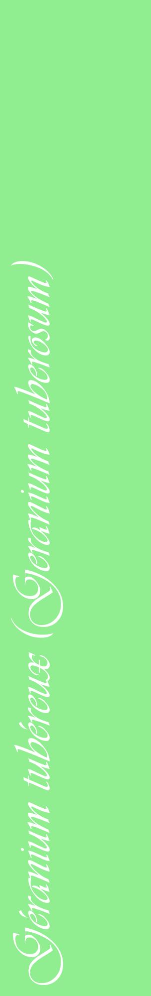 Étiquette de : Geranium tuberosum - format c - style blanche15_basiqueviv avec comestibilité