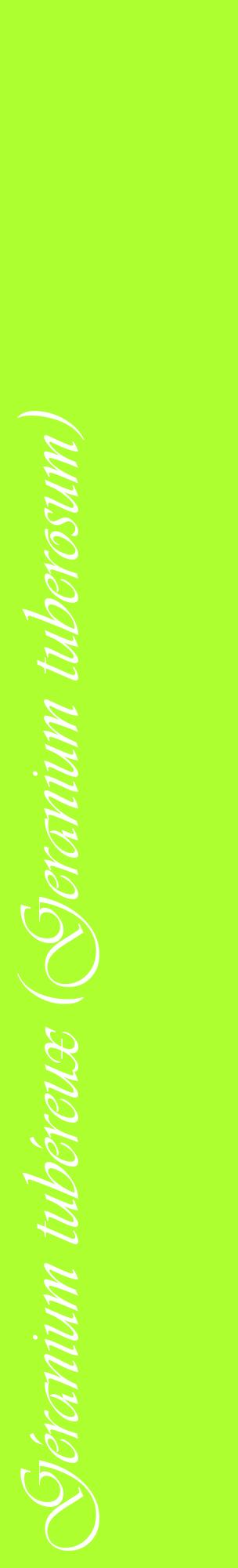 Étiquette de : Geranium tuberosum - format c - style blanche17_basiqueviv avec comestibilité
