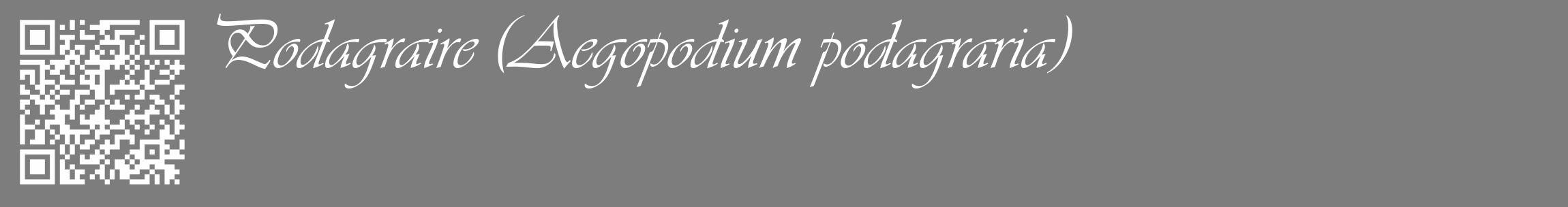 Étiquette de : Aegopodium podagraria - format c - style blanche35_basique_basiqueviv avec qrcode et comestibilité