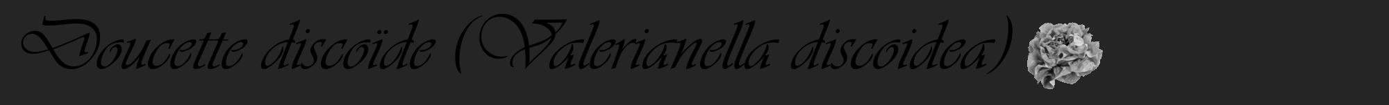 Étiquette de : Valerianella discoidea - format a - style noire47viv avec comestibilité simplifiée