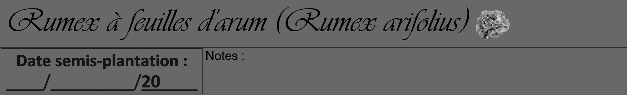 Étiquette de : Rumex arifolius - format a - style noire43viv avec comestibilité simplifiée