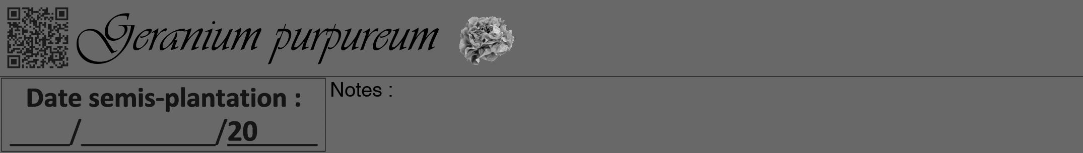 Étiquette de : Geranium purpureum - format a - style noire6viv avec qrcode et comestibilité simplifiée