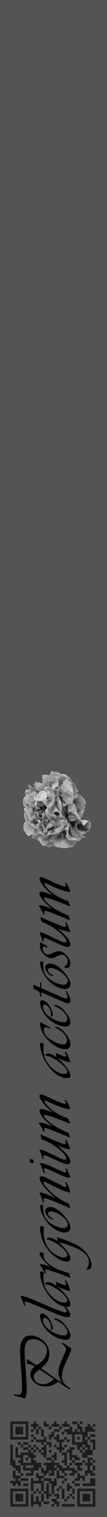 Étiquette de : Pelargonium acetosum - format a - style noire36viv avec qrcode et comestibilité simplifiée - position verticale