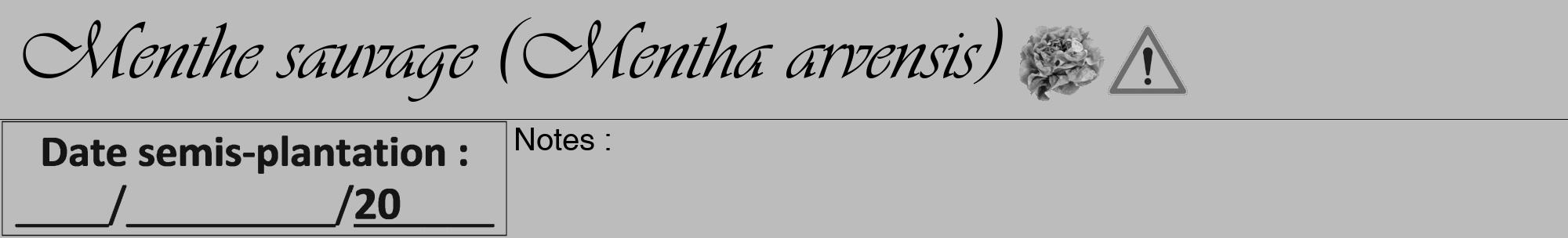 Étiquette de : Mentha arvensis - format a - style noire1viv avec comestibilité simplifiée