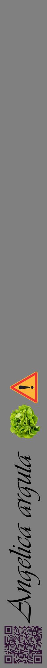 Étiquette de : Angelica arguta - format a - style noire57viv avec qrcode et comestibilité simplifiée