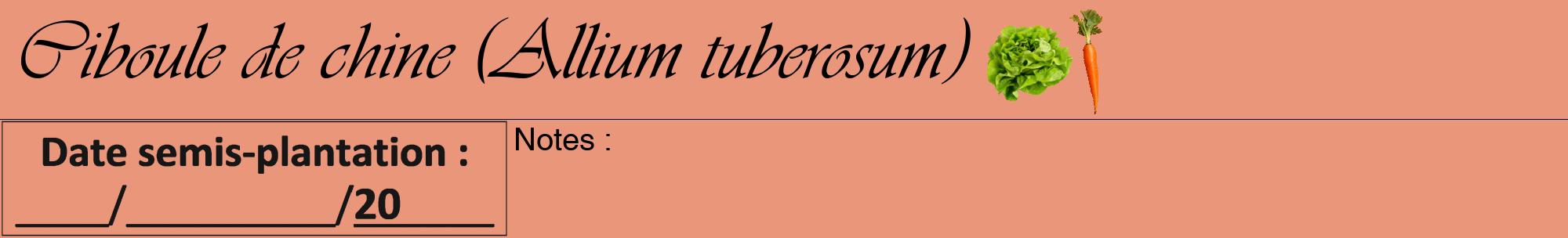 Étiquette de : Allium tuberosum - format a - style noire37viv avec comestibilité simplifiée