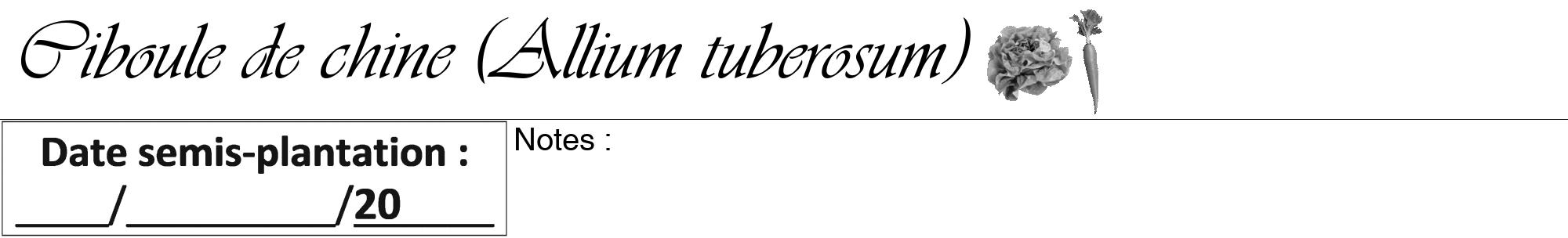 Étiquette de : Allium tuberosum - format a - style noire60viv avec comestibilité simplifiée