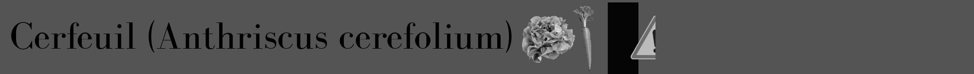 Étiquette de : Anthriscus cerefolium - format a - style noire30bod avec comestibilité simplifiée