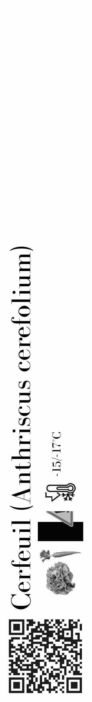 Étiquette de : Anthriscus cerefolium - format c - style noire19basique_basique_basiquebod avec qrcode et comestibilité simplifiée - position verticale