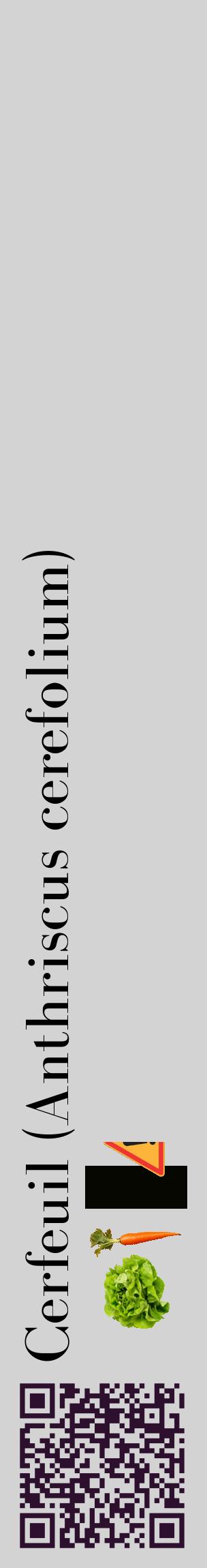 Étiquette de : Anthriscus cerefolium - format c - style noire56_basiquebod avec qrcode et comestibilité simplifiée