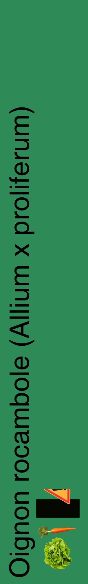 Étiquette de : Allium x proliferum - format c - style noire11_basiquehel avec comestibilité simplifiée