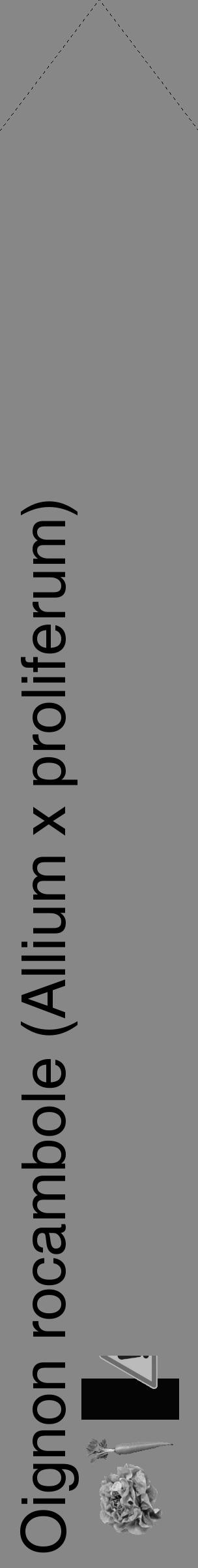 Étiquette de : Allium x proliferum - format c - style noire12_simple_simplehel avec comestibilité simplifiée - position verticale