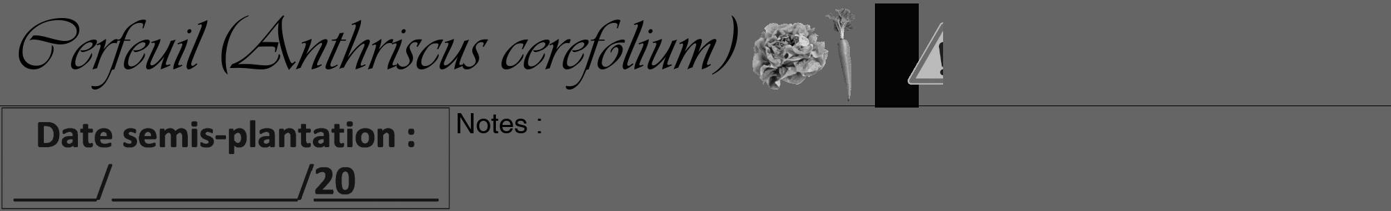 Étiquette de : Anthriscus cerefolium - format a - style noire32viv avec comestibilité simplifiée