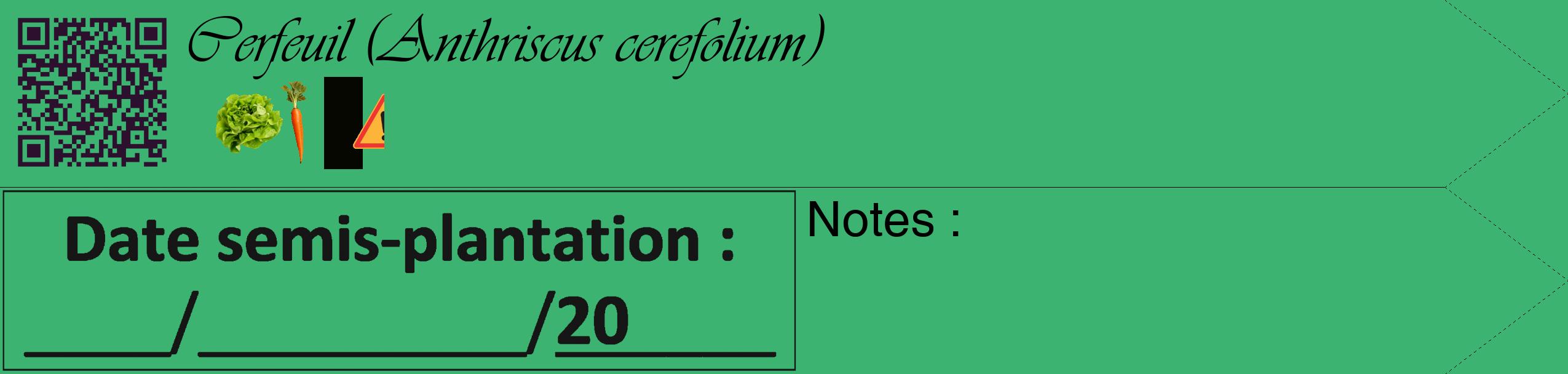 Étiquette de : Anthriscus cerefolium - format c - style noire12simple_basique_basiqueviv avec qrcode et comestibilité simplifiée