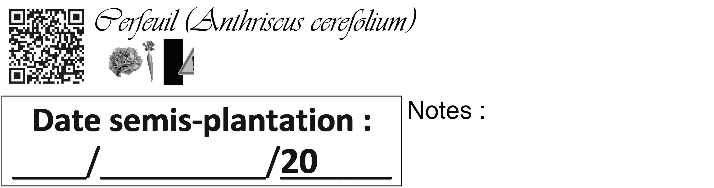 Étiquette de : Anthriscus cerefolium - format c - style noire60_basique_basiqueviv avec qrcode et comestibilité simplifiée