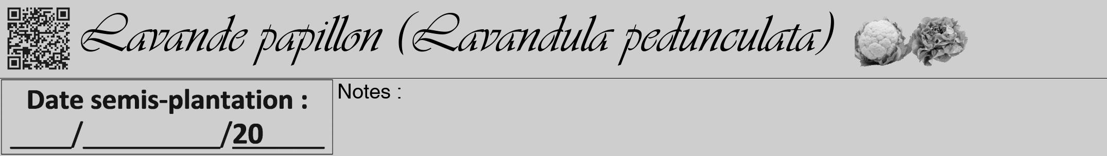 Étiquette de : Lavandula pedunculata - format a - style noire17simpleviv avec qrcode et comestibilité simplifiée