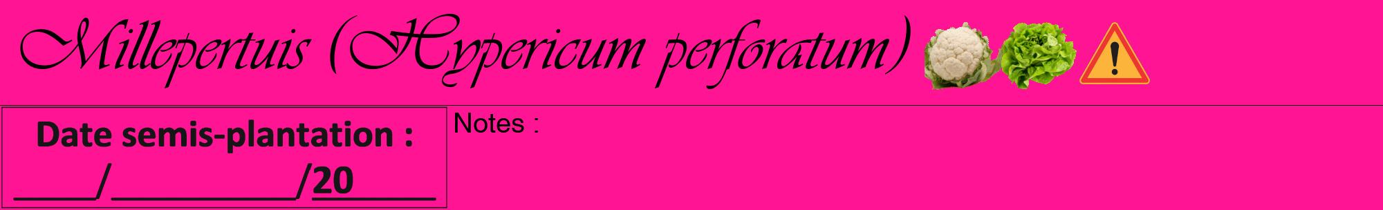 Étiquette de : Hypericum perforatum - format a - style noire43viv avec comestibilité simplifiée