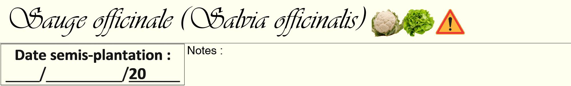 Étiquette de : Salvia officinalis - format a - style noire19basiqueviv avec comestibilité simplifiée