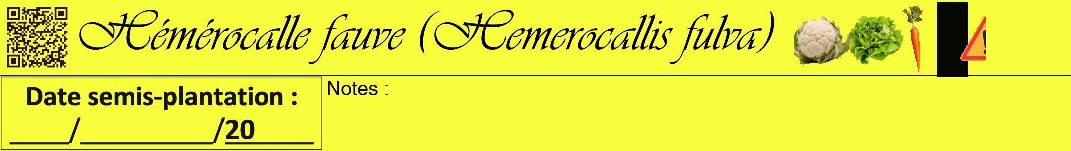 Étiquette de : Hemerocallis fulva - format a - style noire18viv avec qrcode et comestibilité simplifiée