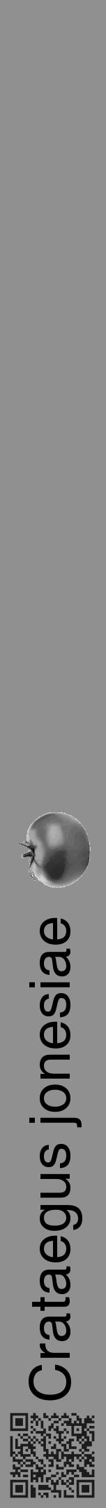 Étiquette de : Crataegus jonesiae - format a - style noire4hel avec qrcode et comestibilité simplifiée - position verticale