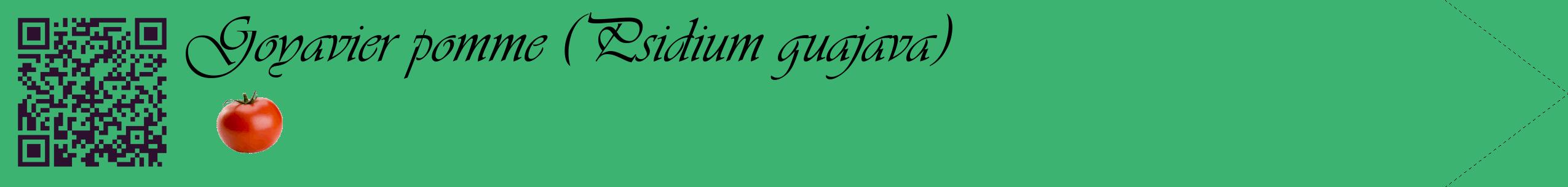 Étiquette de : Psidium guajava - format c - style noire12simple_basique_basiqueviv avec qrcode et comestibilité simplifiée
