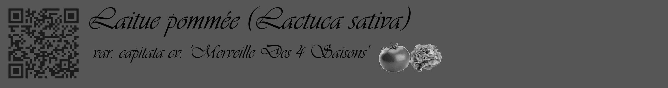 Étiquette de : Lactuca sativa var. capitata cv. 'Merveille Des 4 Saisons' - format c - style noire45_basique_basiqueviv avec qrcode et comestibilité simplifiée