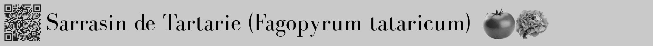 Étiquette de : Fagopyrum tataricum - format a - style noire54bod avec qrcode et comestibilité simplifiée