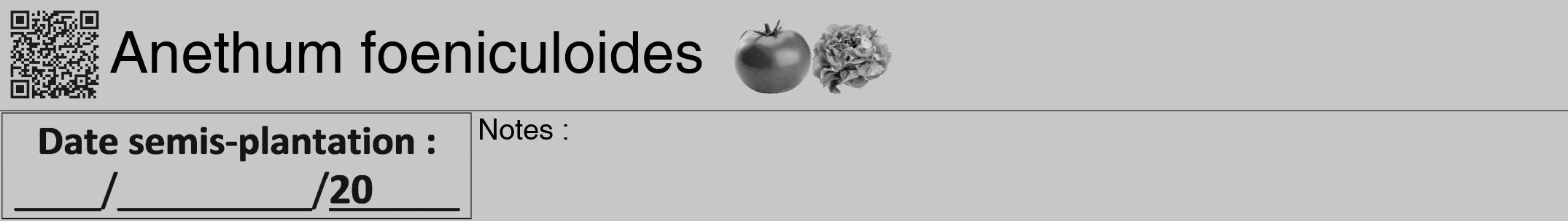 Étiquette de : Anethum foeniculoides - format a - style noire15hel avec qrcode et comestibilité simplifiée