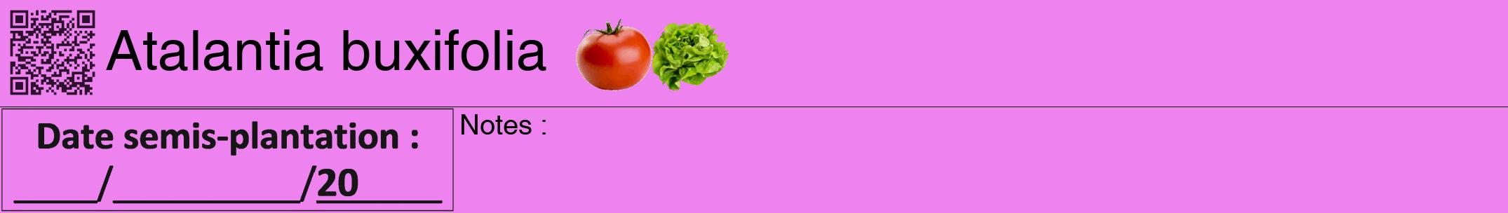 Étiquette de : Atalantia buxifolia - format a - style noire53hel avec qrcode et comestibilité simplifiée