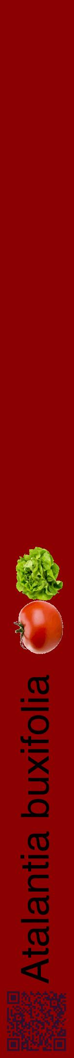 Étiquette de : Atalantia buxifolia - format a - style noire34hel avec qrcode et comestibilité simplifiée