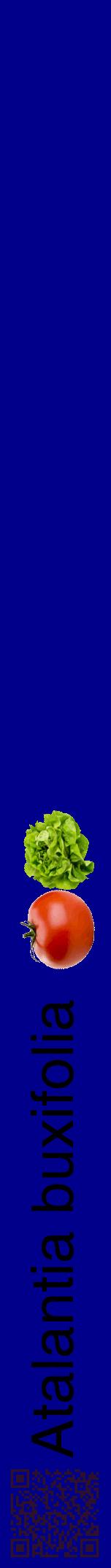Étiquette de : Atalantia buxifolia - format a - style noire7hel avec qrcode et comestibilité simplifiée - position verticale