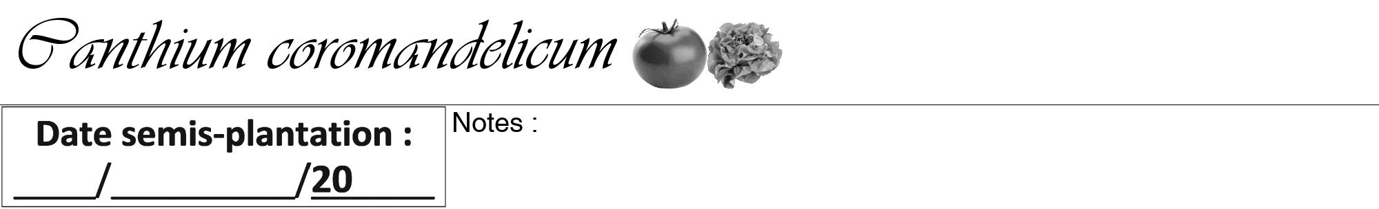 Étiquette de : Canthium coromandelicum - format a - style noire60viv avec comestibilité simplifiée