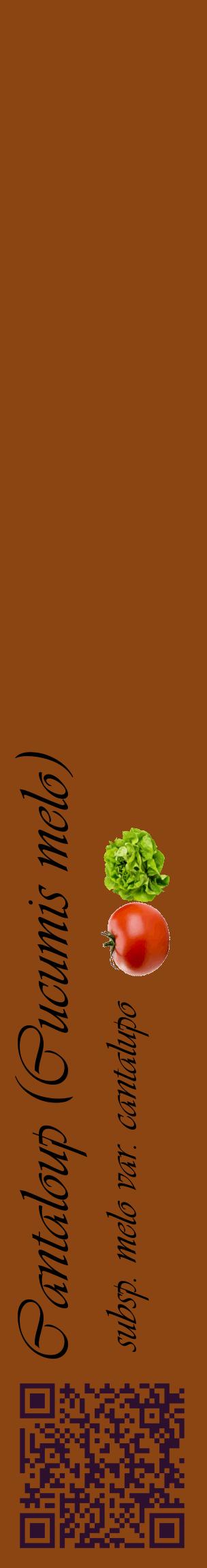 Étiquette de : Cucumis melo subsp. melo var. cantalupo - format c - style noire30_basiqueviv avec qrcode et comestibilité simplifiée
